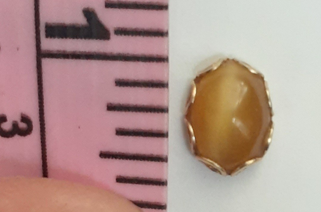 14K Gold 5/16 Inch Bullseye Agate Stud Earrings