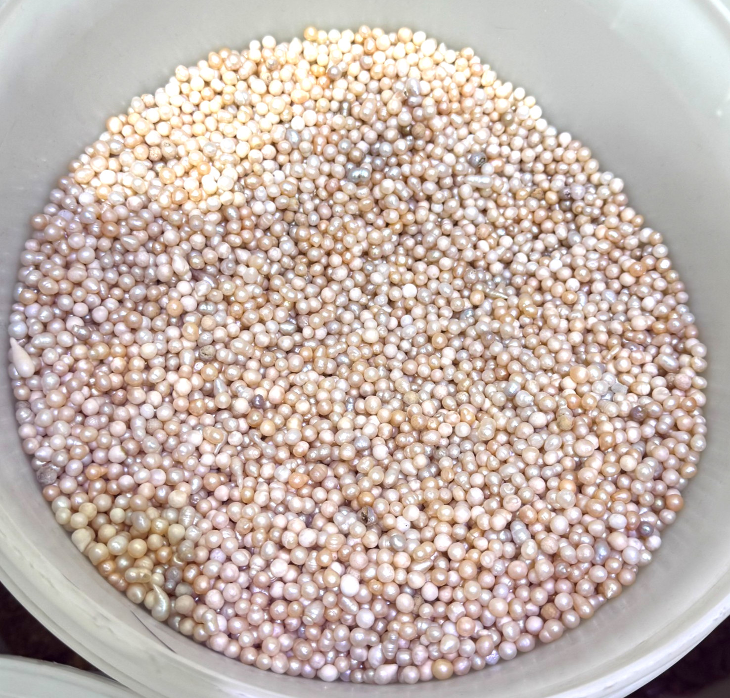 50g 200PCS 2-3mm Mini Cultured Pearl Loose Beads Baroque White Freshwater DIY