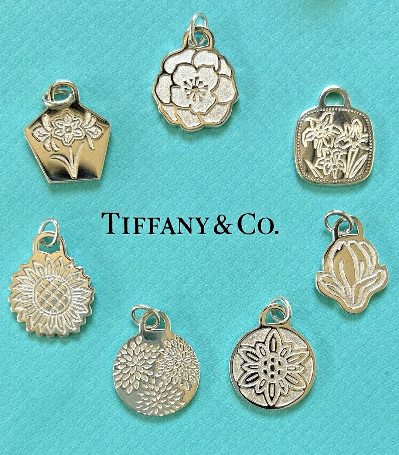 TIFFANY & Co Sterling Silver Necklace Nagoya Marathon Go Women Tag Charm Pendant