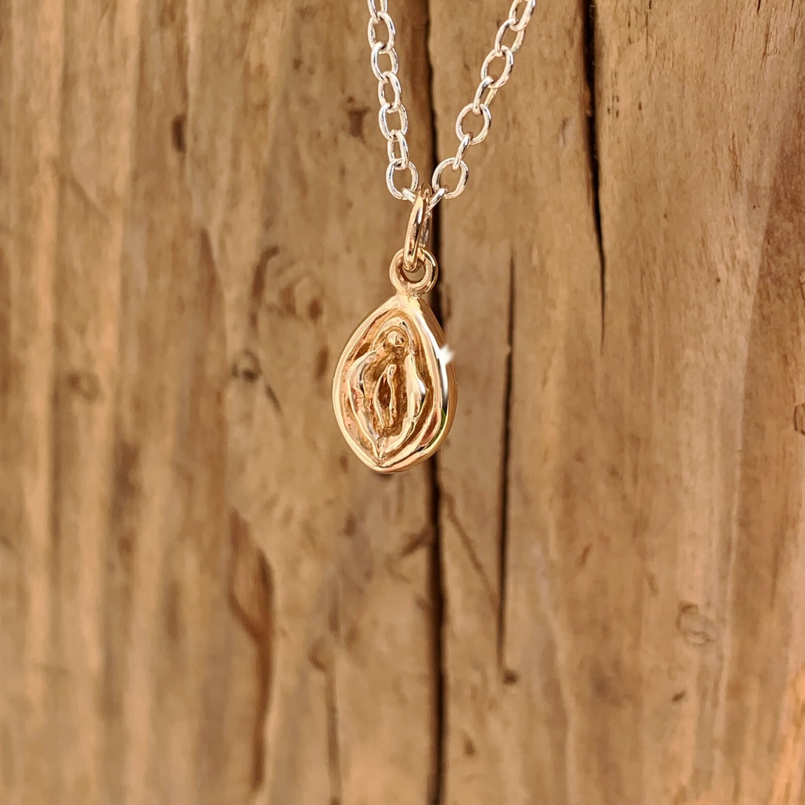 Yoni Pendant Gold Mixed Metals Sterling Silver Necklace Bronze Vagina Goddess