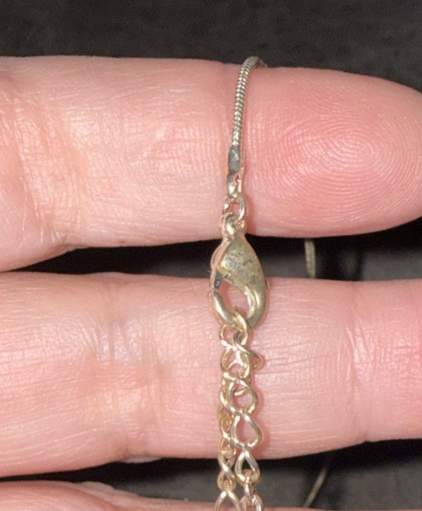 Silver? Chain SilverTone Contemporary Pave Circle Pendant w/Concentric Circles