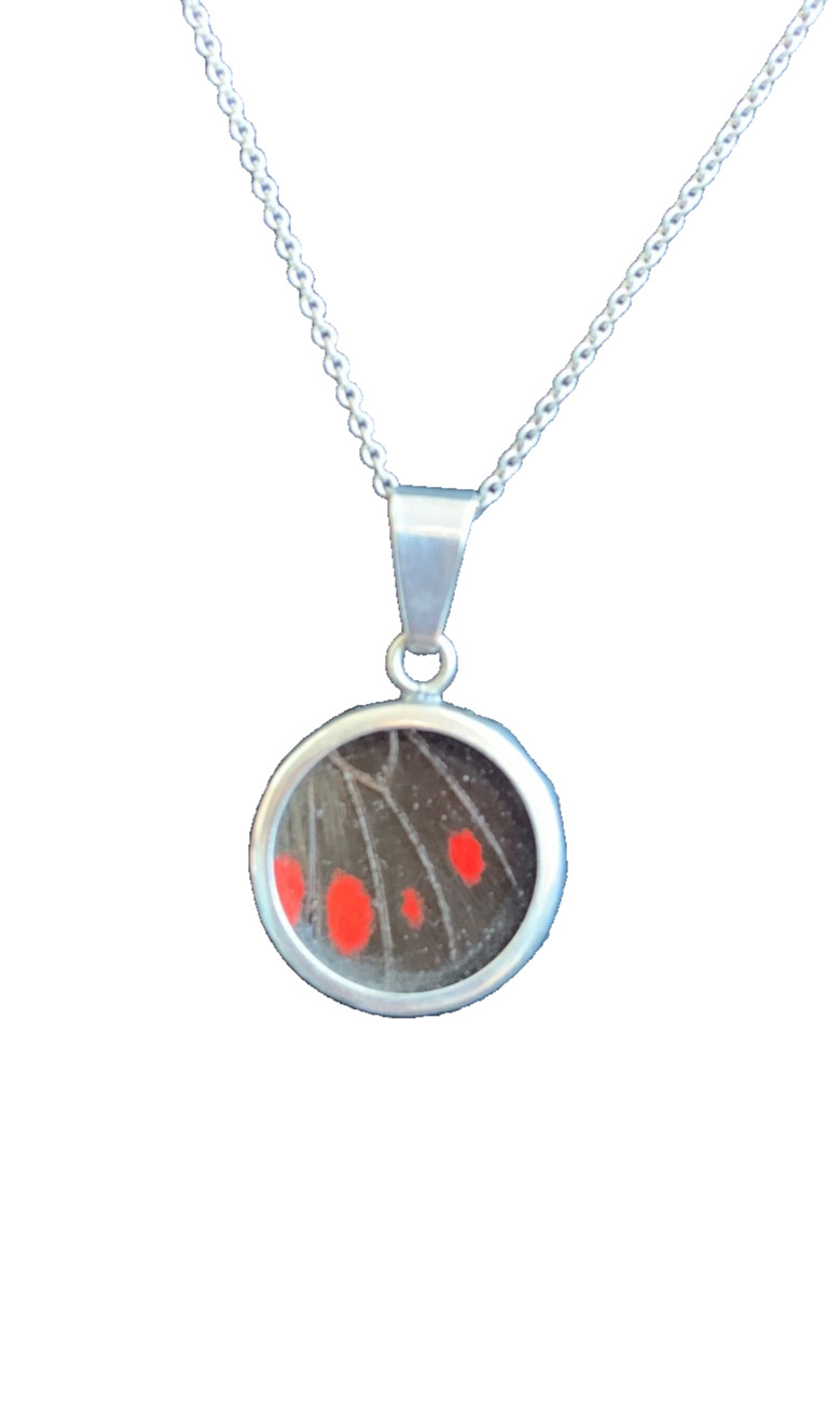 Sterling Silver 925 Real Red Butterfly Wing in Resin Pendant Necklace 18″ chain