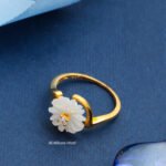 Ring 2026 A74